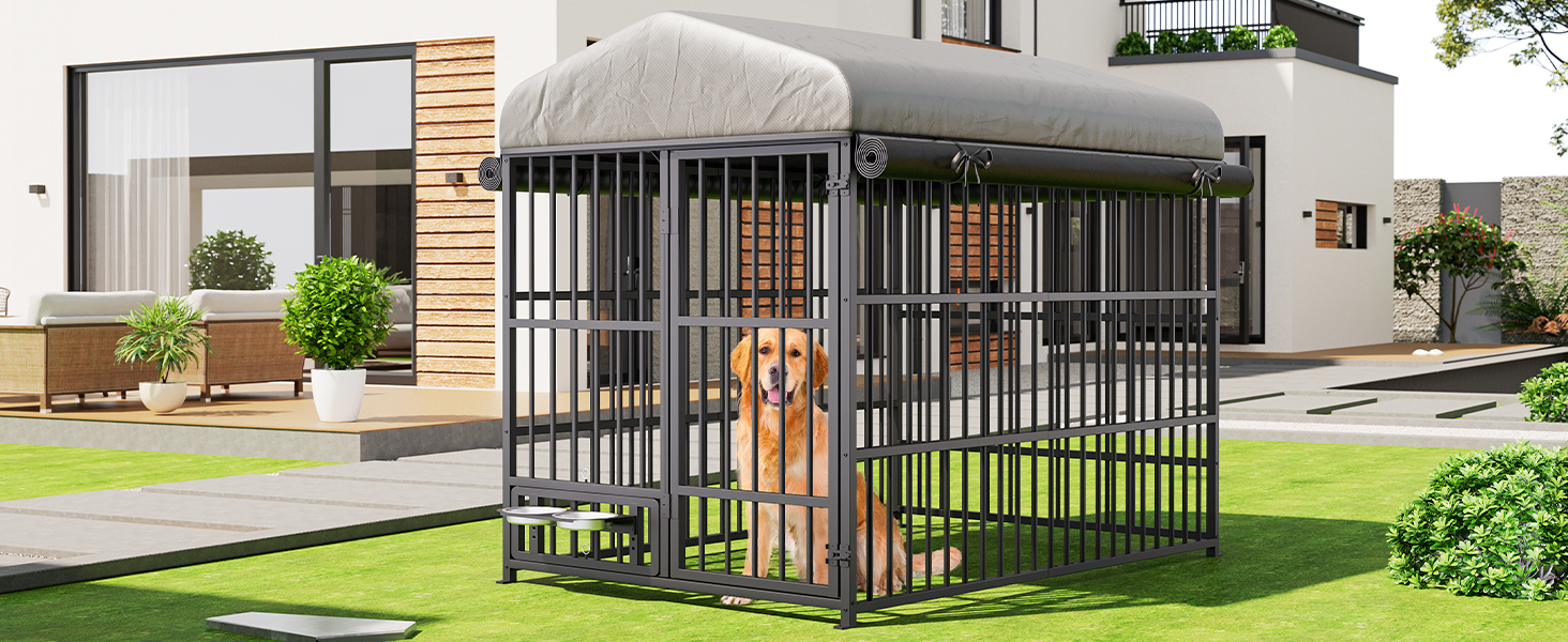 BK212GW03 Outdoor Dog Kennel