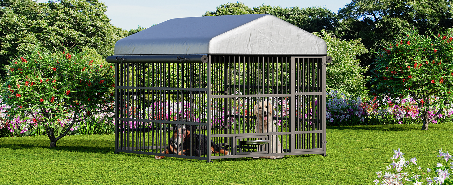 BK220GW03 Outdoor Dog Kennel