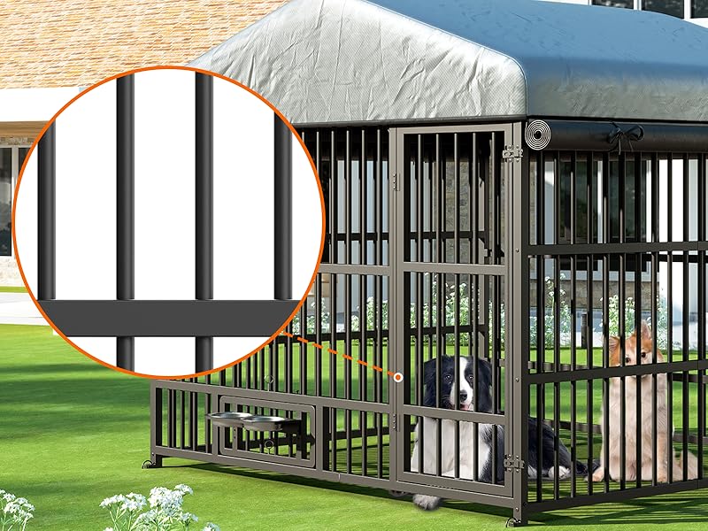 BK220GW03 Outdoor Dog Kennel