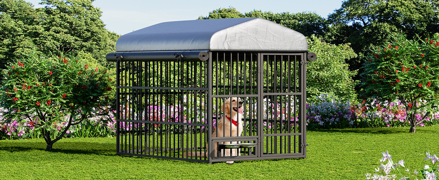 BK212GW03 Outdoor Dog Kennel